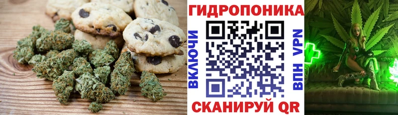 Купить  Канаш  Cannafood марихуана 