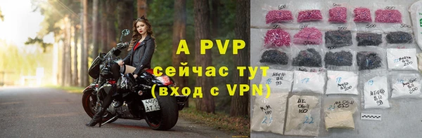 PSILOCYBIN Дмитриев