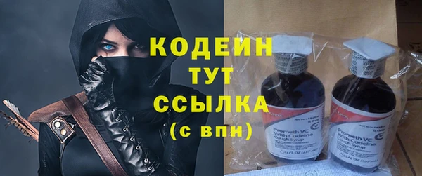 PSILOCYBIN Дмитриев