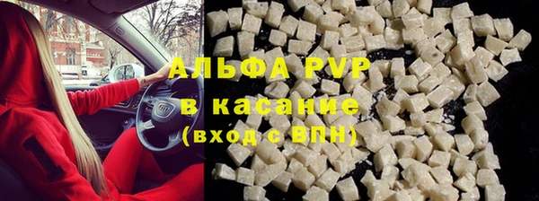 PSILOCYBIN Дмитриев
