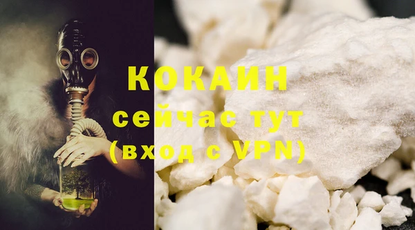 PSILOCYBIN Дмитриев
