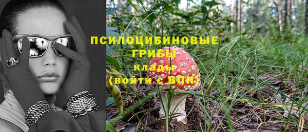PSILOCYBIN Дмитриев