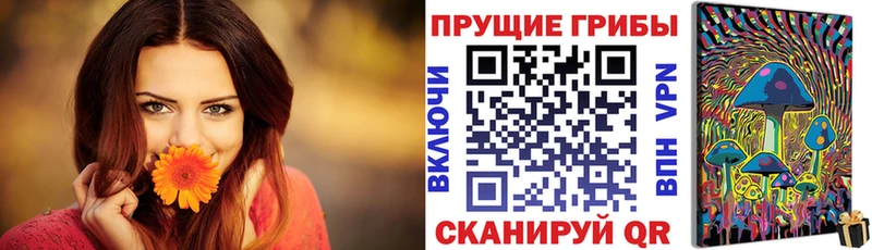 Купить закладки  Канаш  Галлюциногенные грибы прущие грибы 