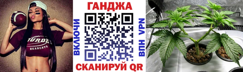 Купить  Канаш  Канабис планчик 